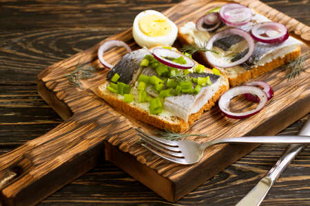 herring sandwich blue onion on wooden backgroundの写真素材
