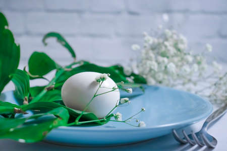 plate, white egg gypsophila flower season decorationの写真素材