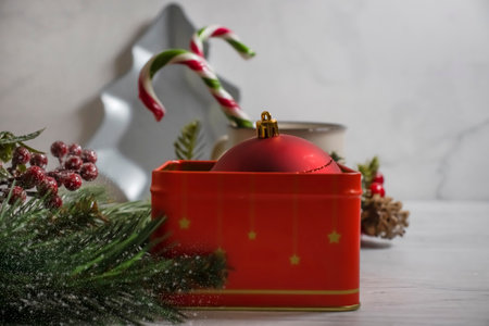 christmas candy cane, branch background holiday winterの写真素材