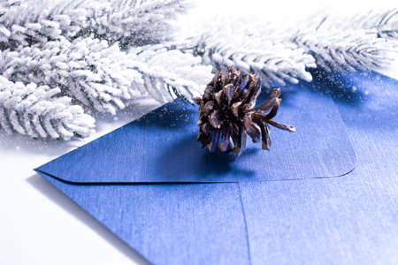 envelope, christmas tree branch christmas background
