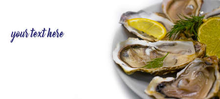 plate with oysters and lemon isolated on white background