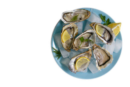 plate with oysters and lemon isolated on white backgroundの写真素材