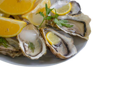 plate with oysters and lemon isolated on white backgroundの写真素材