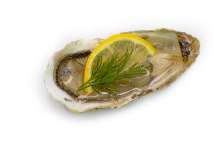 oyster with lemon, greens isolated on white backgroundの写真素材