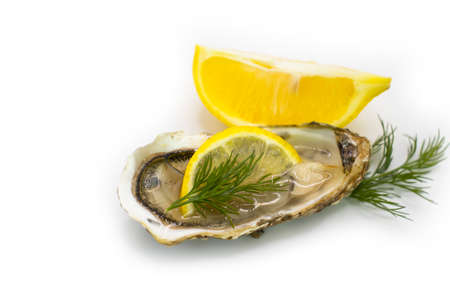 oyster with lemon, greens isolated on white backgroundの写真素材