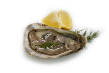 oyster with lemon, greens isolated on white backgroundの写真素材