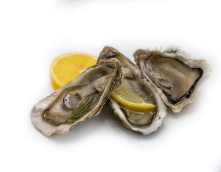 oyster with lemon, greens isolated on white backgroundの写真素材
