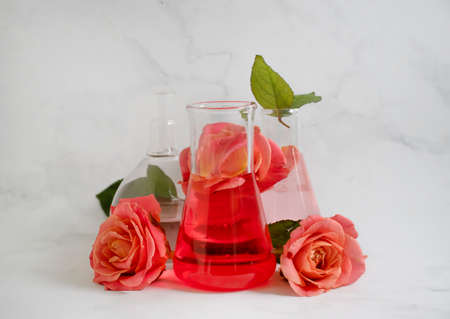 laboratory flask flower rose on a light backgroundの写真素材