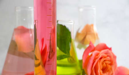 laboratory flask flower rose on a light backgroundの写真素材