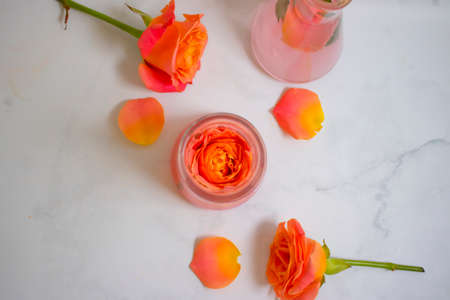 laboratory flask flower rose on a light backgroundの写真素材