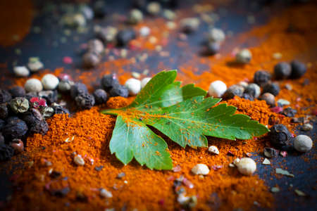 different spices on a dark backgroundの写真素材