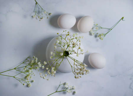 egg, flower gypsophila easter background natural spring