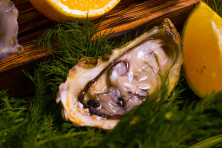 fresh oysters, lemon on wooden background gourmetの写真素材
