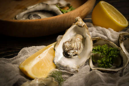 fresh oysters, lemon on wooden background gourmetの写真素材