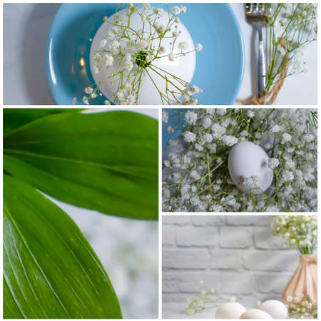 egg, gypsophila flower, plate seasonal Happy easterの写真素材