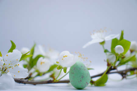 cherry blossoms, eggs on a light background
