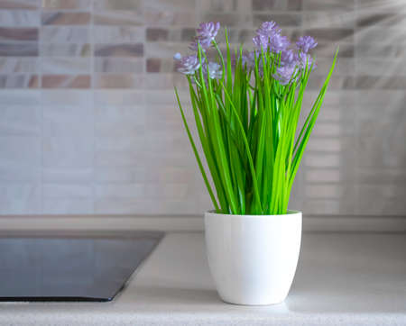 Flowerpot with plant kitchen interiorの写真素材