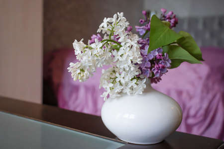 Beautiful lilac flower at homeの写真素材
