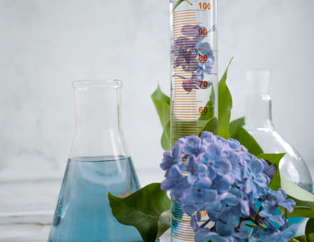 Laboratory flask flower lilac on a light background