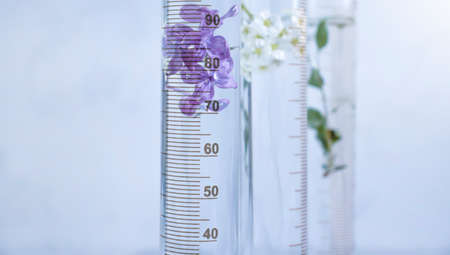 Laboratory flask flower lilac on a light background
