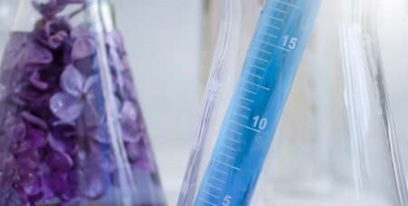 Laboratory flask flower lilac on a light backgroundの写真素材