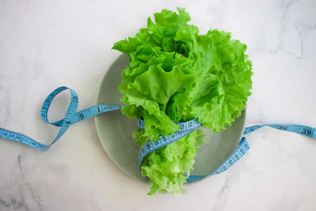 Lettuce leaf measuring tape in a plateの写真素材