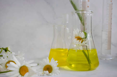 Laboratory flask chamomile flower on a light background
