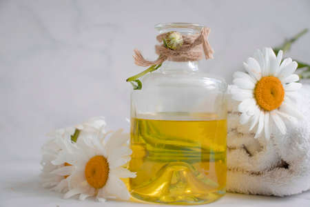Oil cosmetic flower chamomile on a light backgroundの写真素材