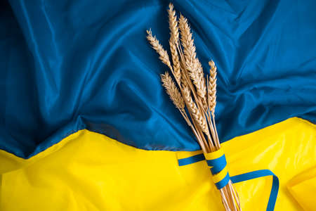 Bread ear on the background of the flag of Ukraineの写真素材