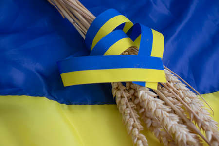Bread ear on the background of the flag of Ukraineの写真素材