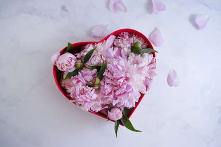 Flower in the shape of a heart on a light backgroundの写真素材