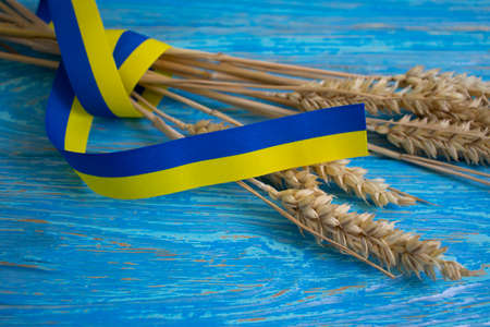 Ribbon yellow-blue bread ears on wooden backgroundの写真素材