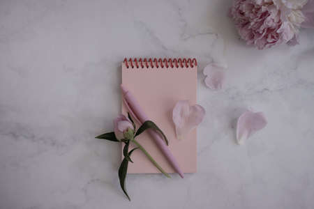 Notepad, pen, peony flower on a light background