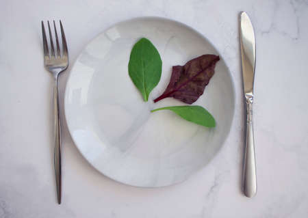 Lettuce leaf in empty plate diet concept
