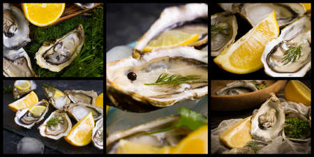 Fresh oysters, lemon on a dark background collage