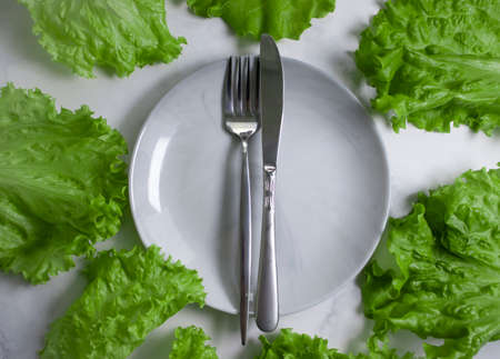 Lettuce leaf on a plate on a light backgroundの写真素材