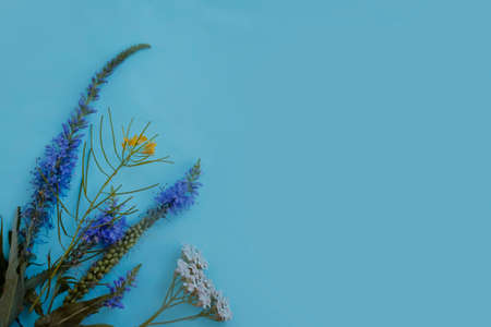 Summer flowers on a colored background frameの写真素材