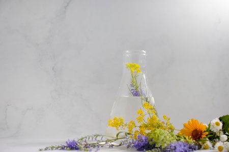 Laboratory flask, flower on a light backgroundの写真素材