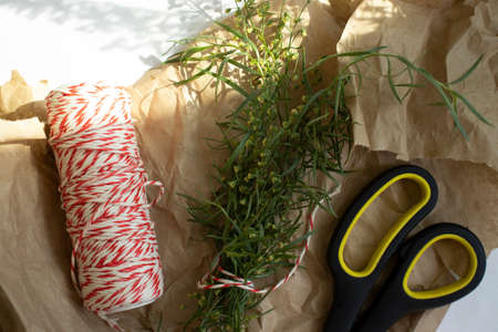 Green grass tarragon on old background