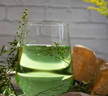 Water with tarragon grass on a light backgroundの写真素材