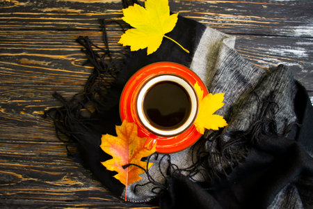 Cup of coffee, autumn leaves on old background, sweater