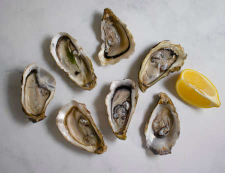 Oysters with lemon on old backgroundの写真素材