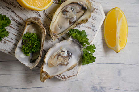 Oysters with lemon on old backgroundの写真素材