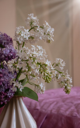 Beautiful bouquet of blooming lilacs in the roomの写真素材