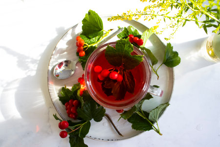 Cup of tea with fresh viburnum on a light backgroundの写真素材