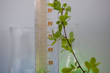 Laboratory flask flower on a light backgroundの写真素材