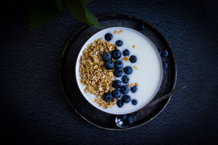 Yogurt, oatmeal, blueberries on a dark backgroundの写真素材