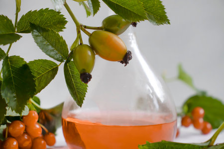 Laboratory flask viburnum berries on a light backgroundの写真素材