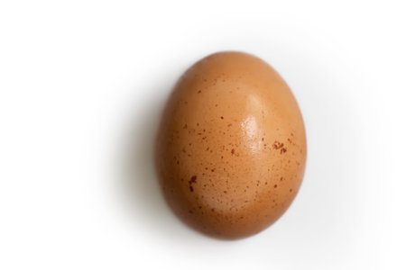 Egg isolated on white background