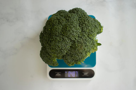 Fresh broccoli kitchen scale on a light backgroundの写真素材